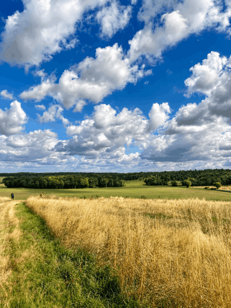 70 km Weitwandern: Meine ehrliche Hike-Deluxe-Erfahrung