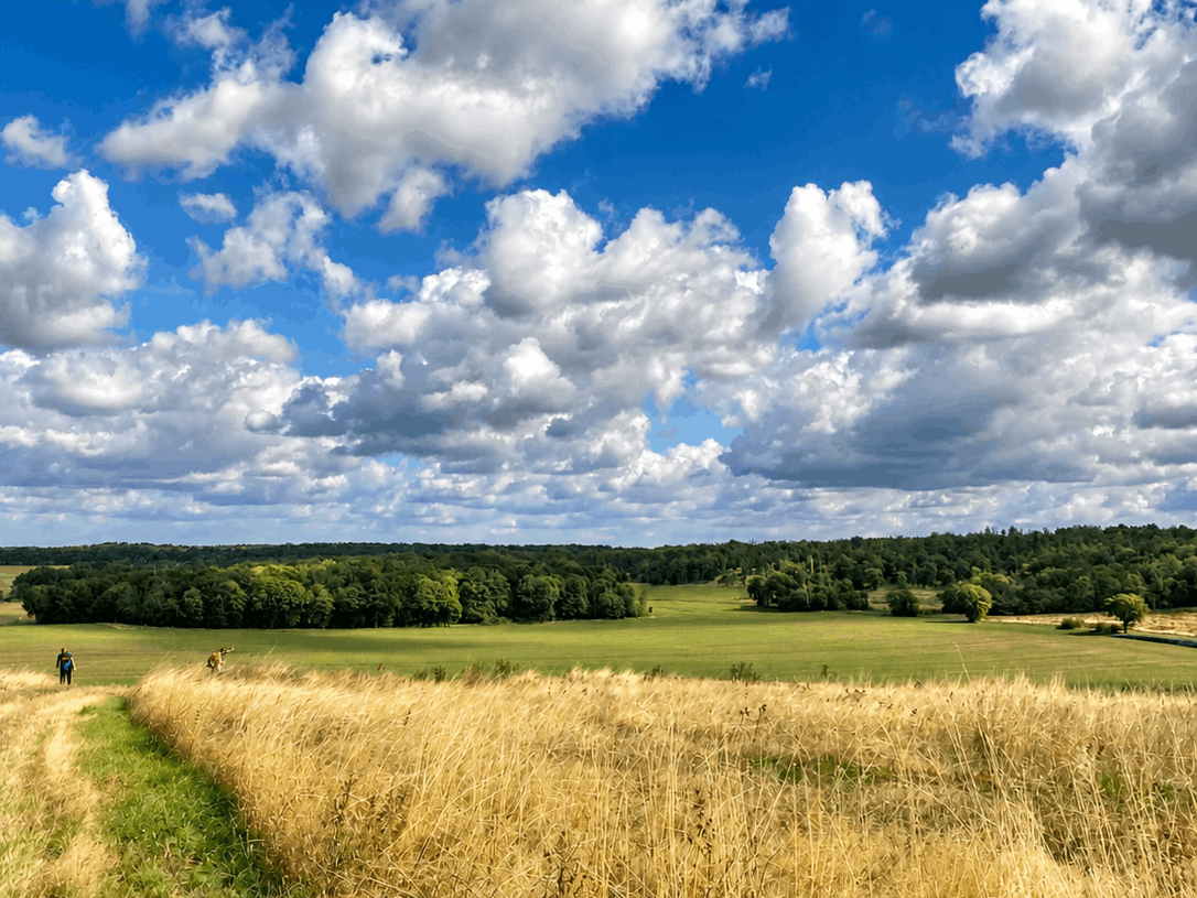 Landschaft mit weitem Feldweg und Wolkenhimmel während meines 70 km Hike Deluxe bei Leipzig